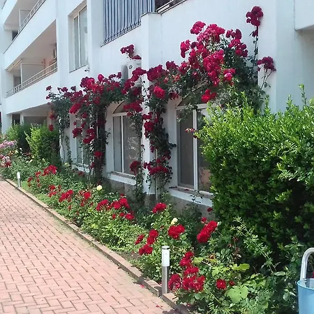 Sarafovo Apartment *